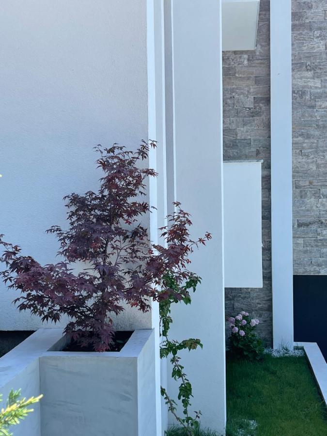 Villa Pine Бар Экстерьер фото